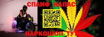 прущий лед Кингисепп