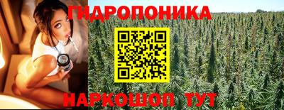 прущий лед Кингисепп