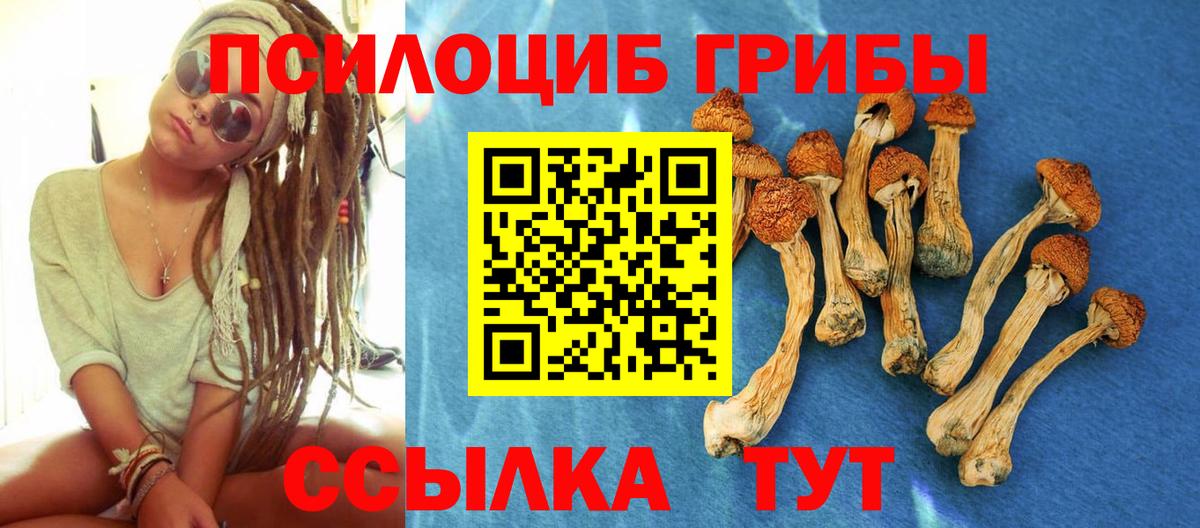 Заринск  Псилоцибиновые грибы мицелий  Вход с VPN 